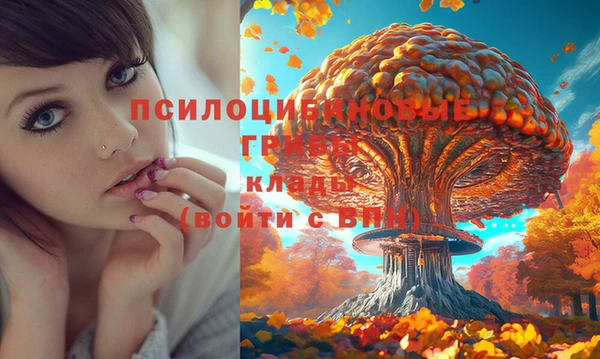 меф Гусев