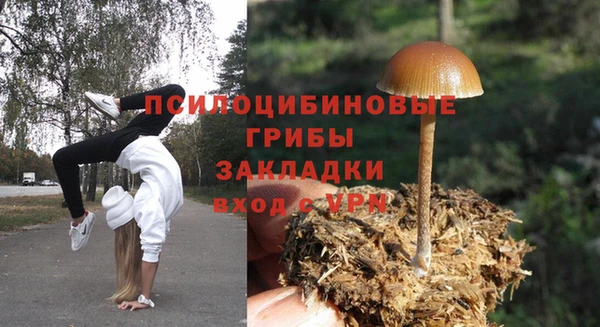 меф Гусев