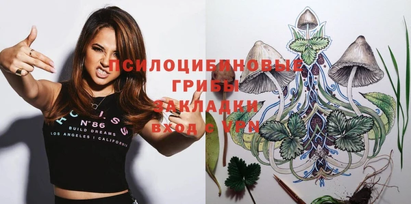 не бодяженный Гусь-Хрустальный