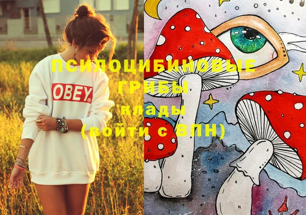 не бодяженный Гусь-Хрустальный